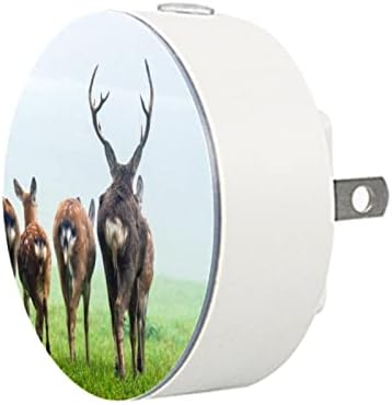 2 Csomag Plug-in Éjjeli LED-es Éjszakai Fény Fallow Deer A Rétet, Alkonyat-hogy-Hajnal Érzékelő Gyerek